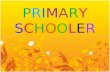 Child and Adolescent - The Primary Schooler