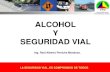 SEGURIDAD VIAL: EL TABU DEL ALCOHOL Y LA SEGURIDAD VIAL