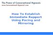 Conversational Hypnosis   Mirroring And Pacing To Build Rapport