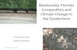 Biodiversity, Floristic Composition and Climate Change in the Sundarbans