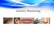 linkage between sensory and neuro marketing