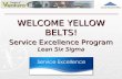Yellow Belt Training