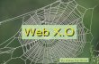 Web X.0 (evolution from the static web to the intelligent web) in nederlands