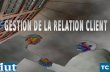 Gestion De La Relation Client Tc 2  2008