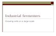 Industrial Fermenters