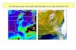 2005-04-01 Carbonaceous Aerosol and Smoke over the Eastern US