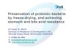 Preservation of Probiotic Bacteria by Freeze-Drying, and Achieving Stomach and Bile Acid Resistance
