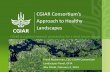 CGIAR and Healthy Landscapes