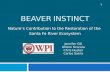 Beaver Instinct Final