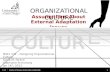 Organizational Culture & External Adaptation Issues