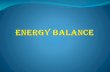 L3 energy balance