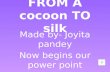 from a coccon to silk animated ppt