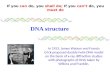 DNA structure - double helix structure