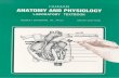 Human Anatomy Textbook