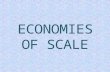 Economies of scale final