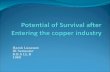 Potential of survival after entering the copper industry
