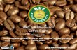 Coffee Beans Manufacturer in India