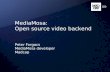 Mediamosa Open source video backend