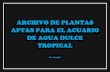 3. Archivo de plantas aptas para acuarios de agua dulce tropical