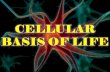 3. cellular basis of life