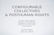 Configurable Collectives & Posthuman Rights