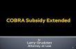 Cobra Subsidy Extended