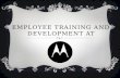 Employee Training and Development at Motorola