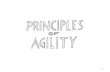 Principles of Agility