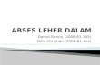 ABSES LEHER DALAM