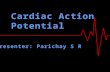 Cardiac action potential