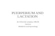 Puerperium and lactation