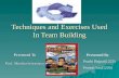 Techniques and Exercises Used in Team Building