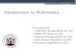 Indroduction to multimedia