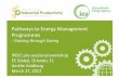 Pathways to Energy Management Programmes – Gaining through Saving, Amelie Goldberg