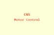 8. motor control-08-09