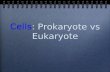 Prokaryote vs Eukaryote