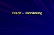 Credit - Monitoring