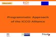 ICCO Alliance Programmatic Approach - Presentation
