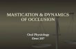 Mastication & Dynamics of Occlusion