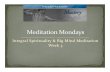 Feb 16th  Meditation Mondays Lines Of Development