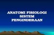 Anatomi Fisiologi Sistem an