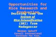 0212 Opportunities for Rice Research and Production Deriving from the System of Rice Intensification (SRI) from Madagascar