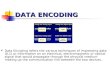 Data Encoding 1