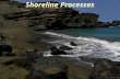 Shoreline Processes