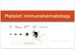 Platelet immunohematology