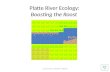 Platte River Ecology - Simulating Sandhill Crane Roosting Patterns