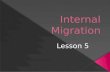 Internal migration   lesson 5