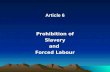 Article 6  prohibitions of slavery and forced labour