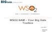 WSO2 BAM - Your Big Data Toolbox