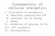 Biol221 24a energy currency to be taught